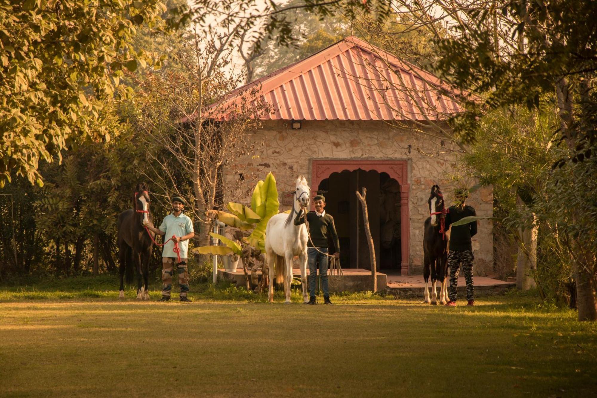 Maa Ashapura Resort Савай-Мадхопур Экстерьер фото